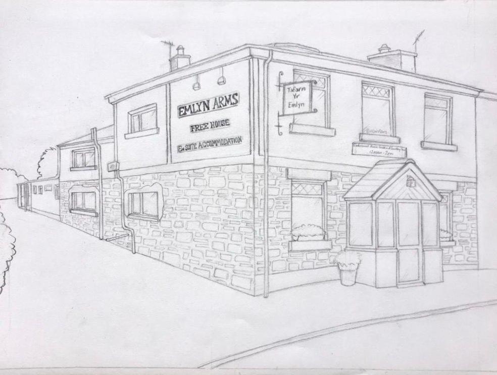 לינה וארוחת בוקר Llanarthney Emlyn Arms מראה חיצוני תמונה